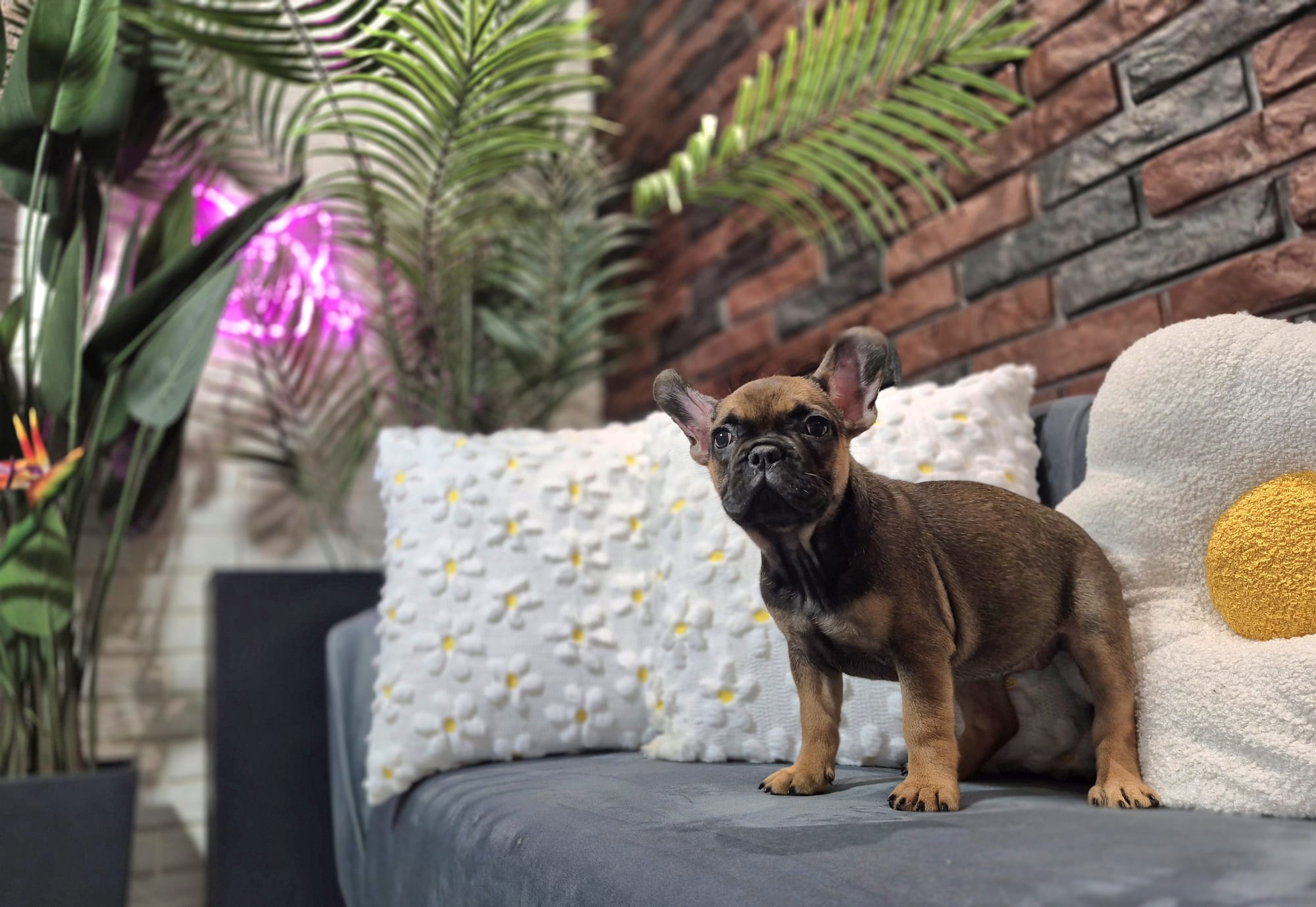 WhatsApp Image 2026-01-22 at 07.17.45 (3)