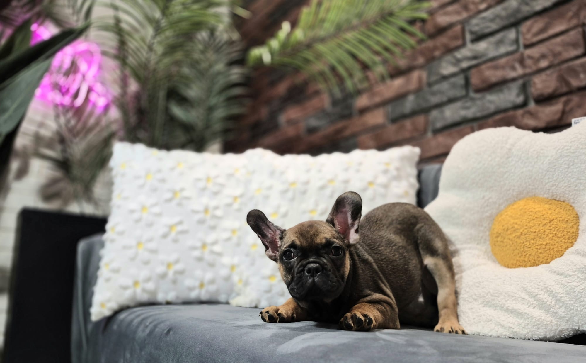 WhatsApp Image 2026-01-22 at 07.17.45 (4)