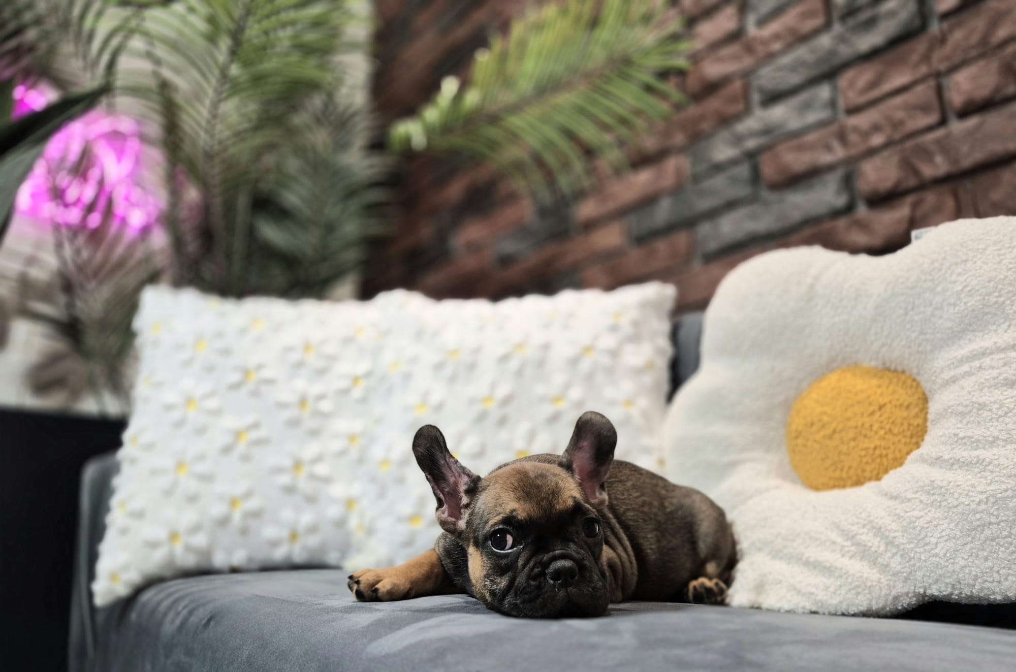 WhatsApp Image 2026-01-22 at 07.17.45 (5)