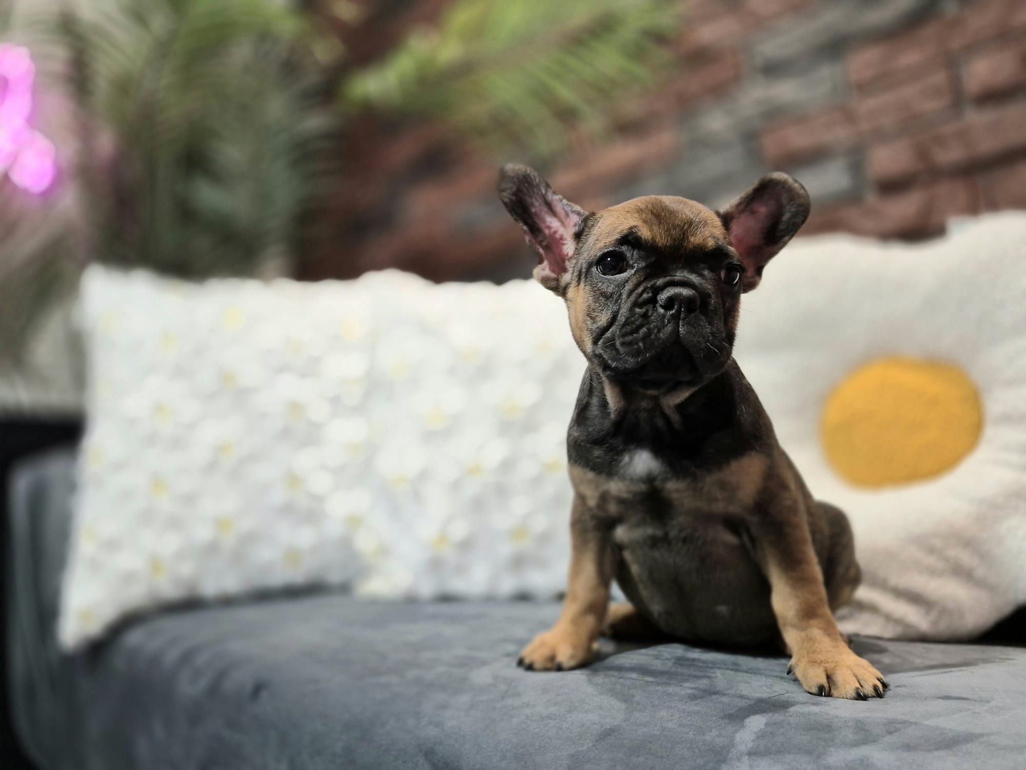 WhatsApp Image 2026-01-22 at 07.17.45 (6)