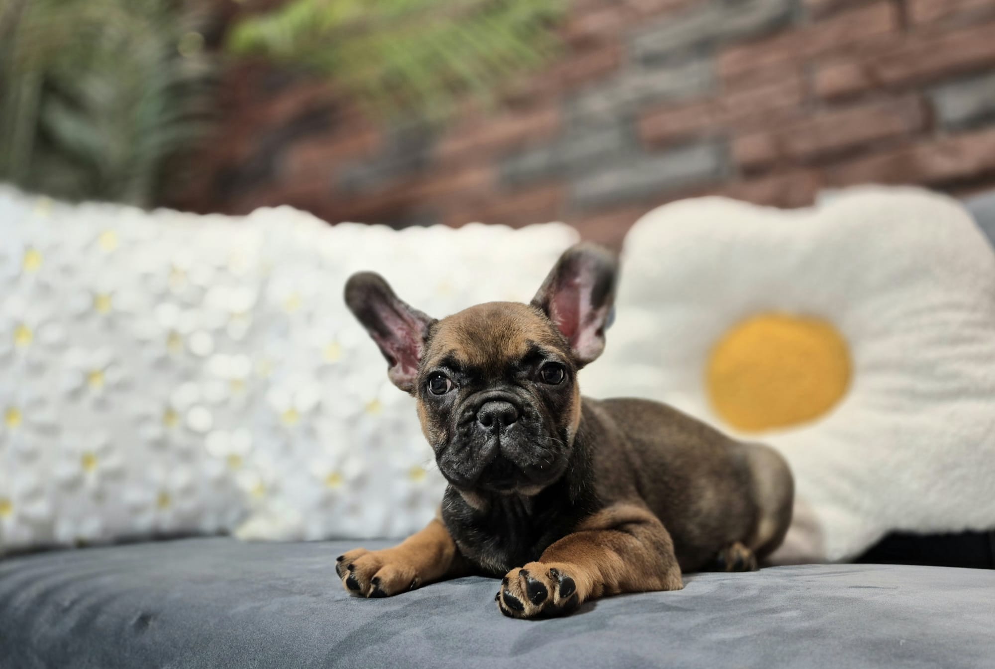 WhatsApp Image 2026-01-22 at 07.17.45 (8)