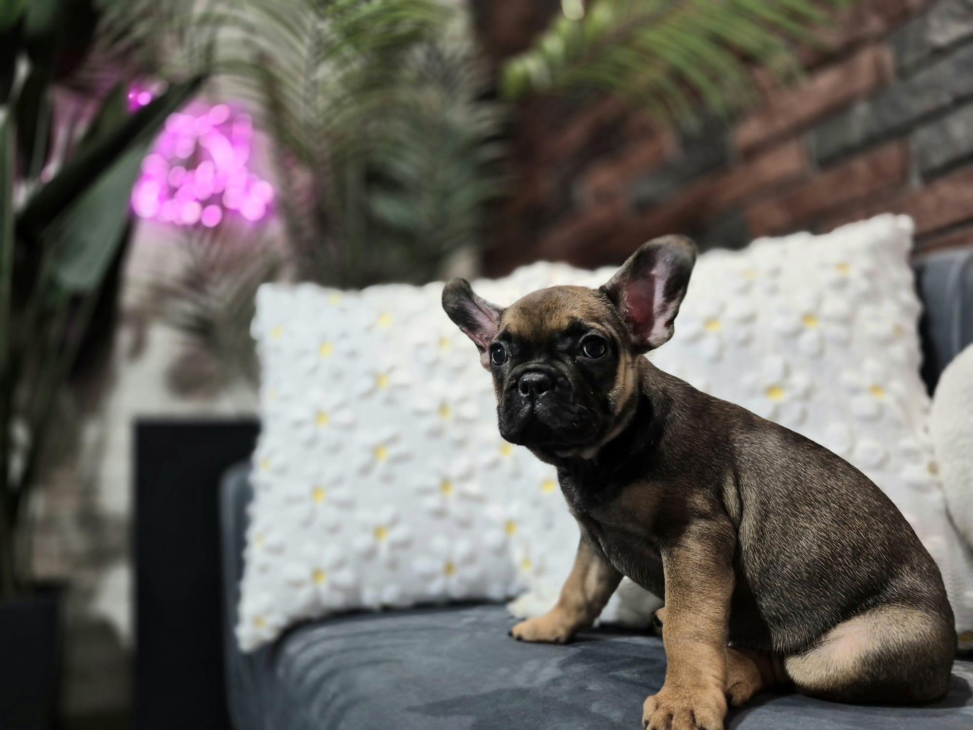 WhatsApp Image 2026-01-22 at 07.17.45 (9)