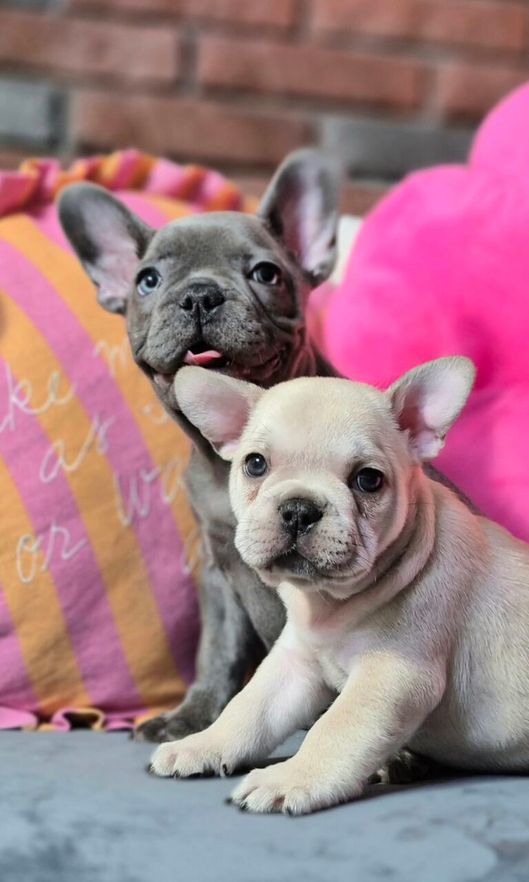 Kiara i Boni: Dwie siostry, dwa światy. 2 WhatsApp Image 2026-01-25 at 13.35.30 (1)