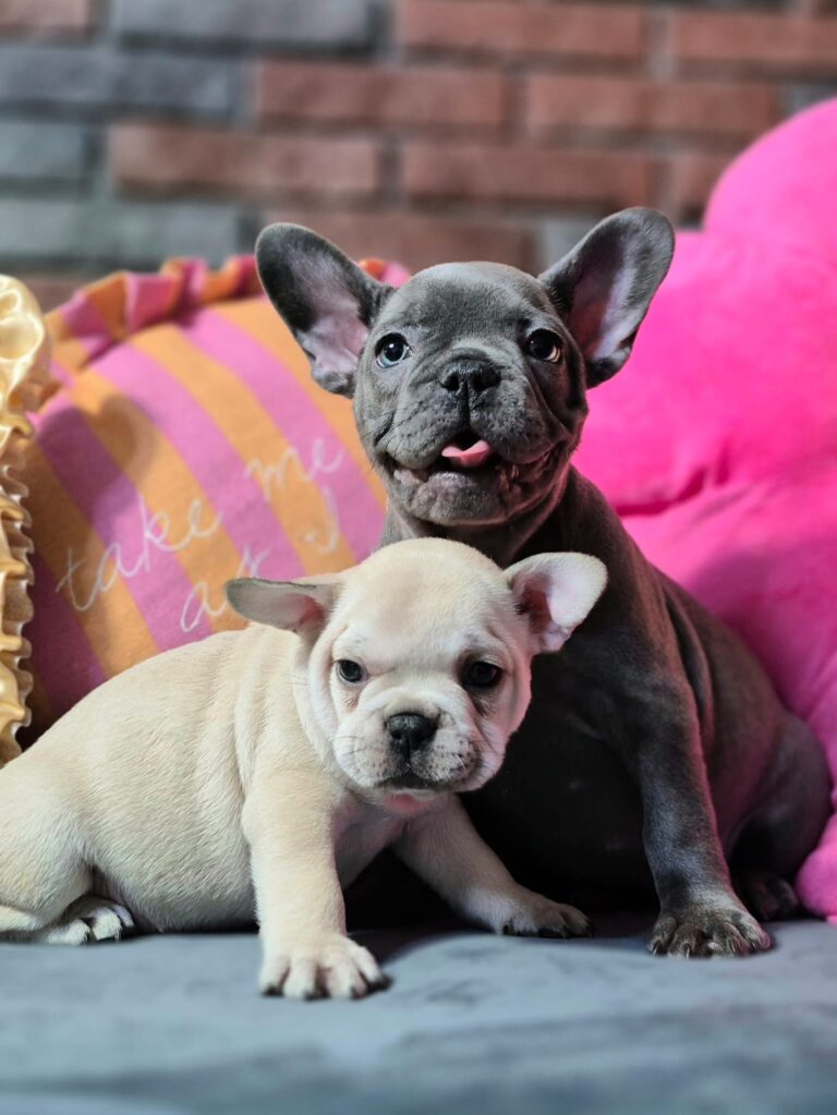 Kiara i Boni: Dwie siostry, dwa światy. 5 WhatsApp Image 2026-01-25 at 13.35.30