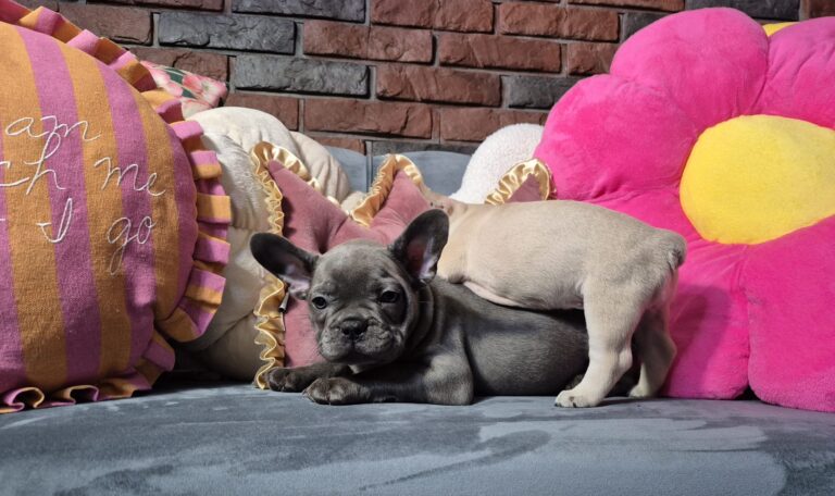 Kiara i Boni: Dwie siostry, dwa światy. 7 WhatsApp Image 2026-01-25 at 13.35.31 (2)