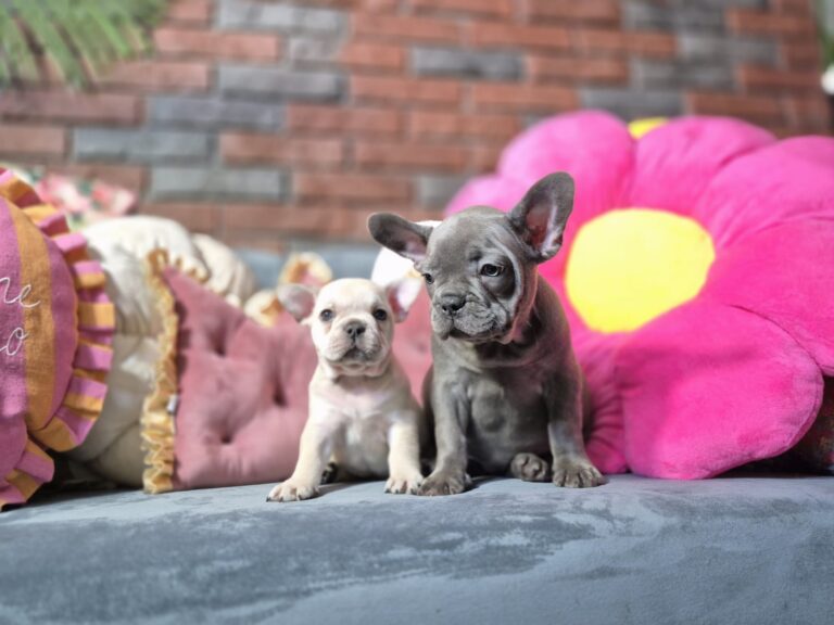 Kiara i Boni: Dwie siostry, dwa światy. 8 WhatsApp Image 2026-01-25 at 13.35.31 (3)