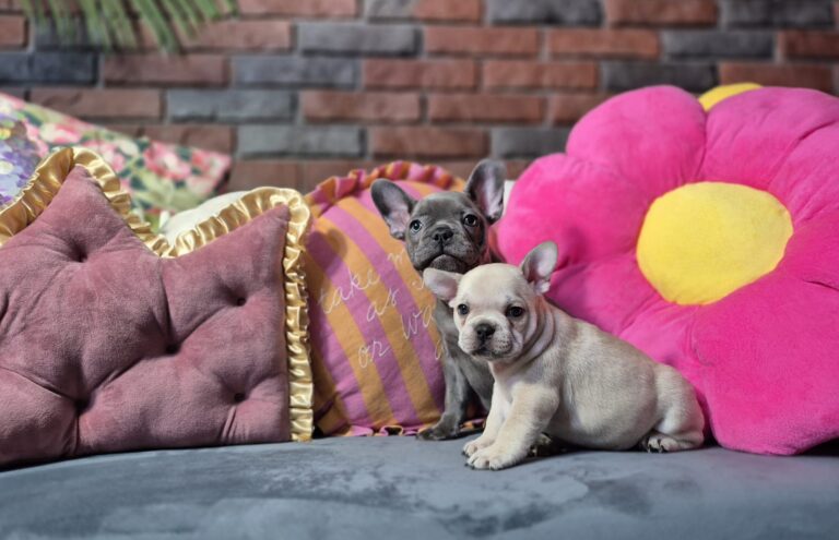 Kiara i Boni: Dwie siostry, dwa światy. 10 WhatsApp Image 2026-01-25 at 13.35.31 (5)