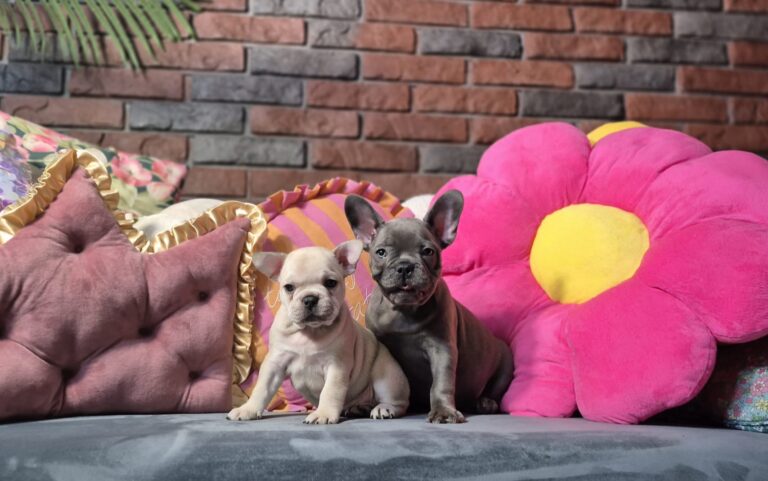 Kiara i Boni: Dwie siostry, dwa światy. 13 WhatsApp Image 2026-01-25 at 13.35.32 (2)