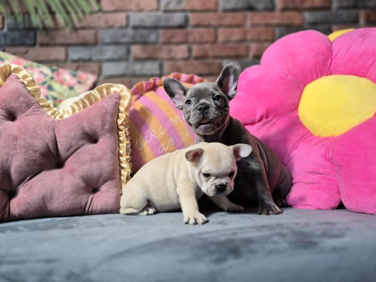 Kiara i Boni: Dwie siostry, dwa światy. 14 WhatsApp Image 2026-01-25 at 13.35.32 (3)