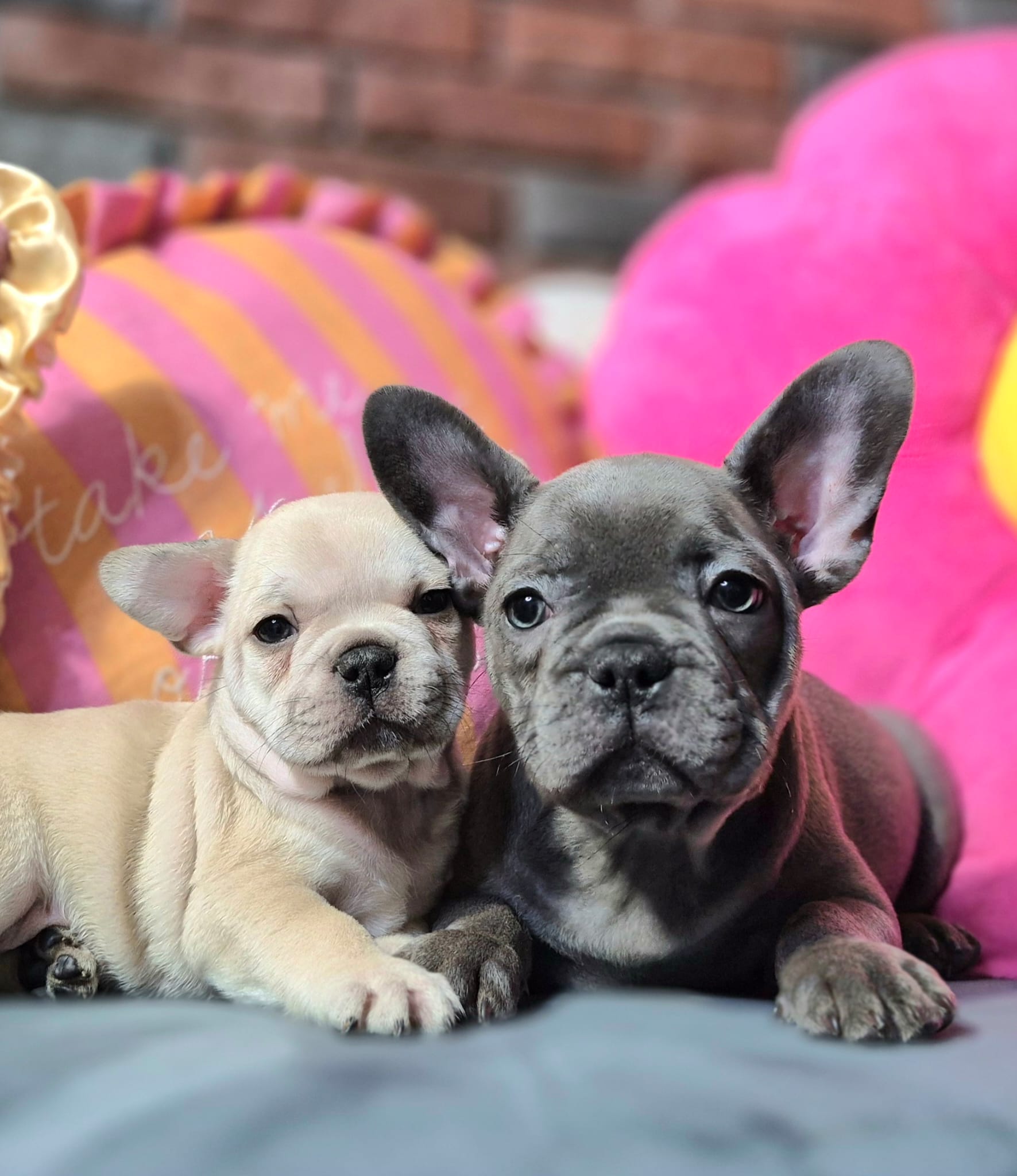 Kiara i Boni dwie siostry