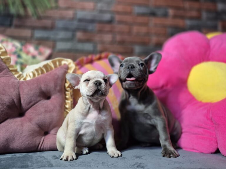 Kiara i Boni: Dwie siostry, dwa światy. 17 WhatsApp Image 2026-01-25 at 13.35.32