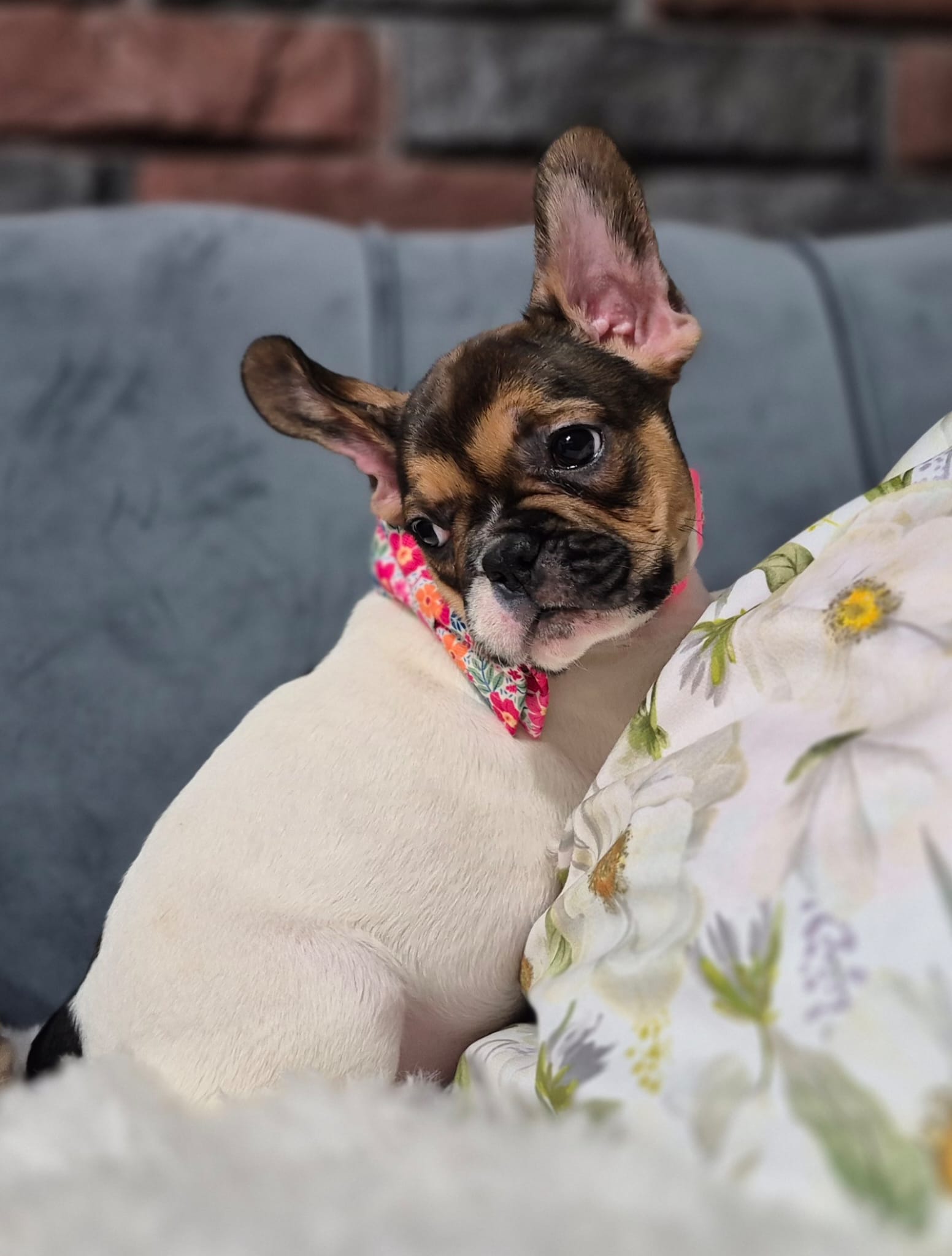 WhatsApp Image 2026-02-22 at 08.43.19 (1)