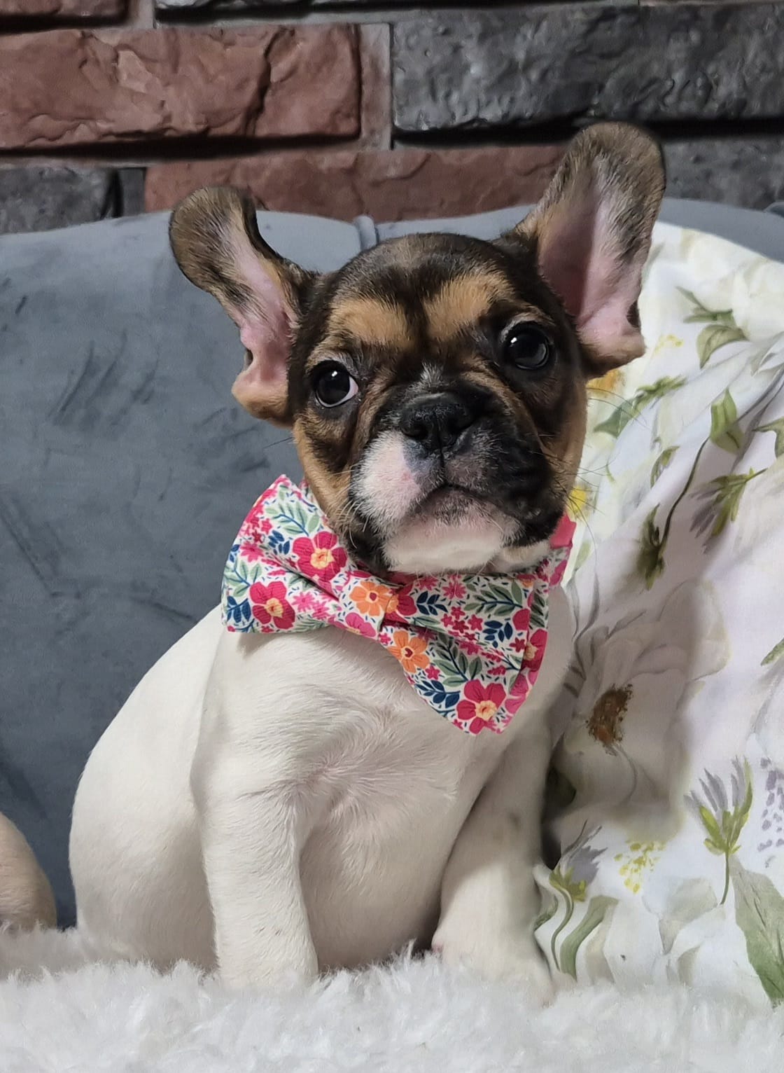 WhatsApp Image 2026-02-22 at 08.43.19